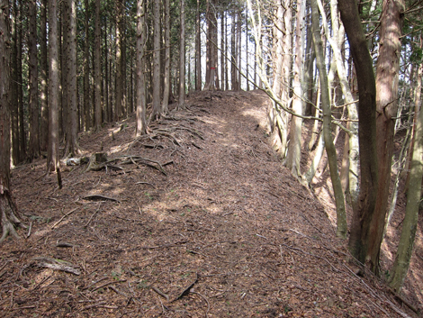 20190205hike (117)